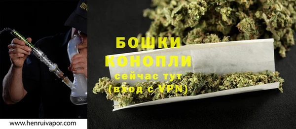хмурый Пересвет