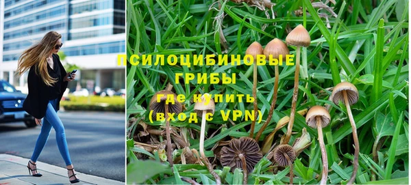 COCAINE Белокуриха